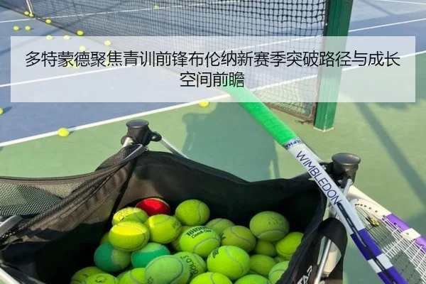 多特蒙德聚焦青训前锋布伦纳新赛季突破路径与成长空间前瞻